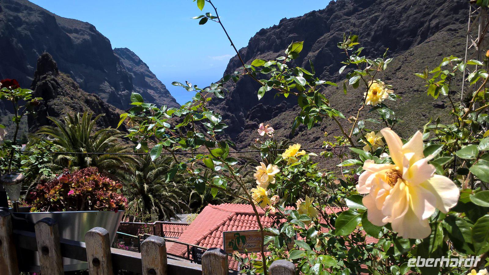 WP 20170421 14 21 54 Pro