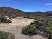 Nationalpark Teide 