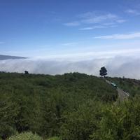 Wolkendecke La Orotava 