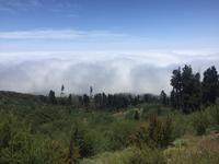 Wolkendecke La Orotava 