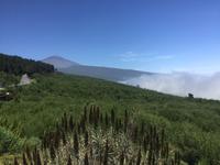 Ausblick Teide