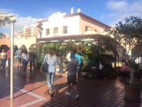 Santa Cruz de Tenerife - Markt