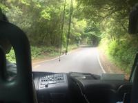 Es geht in den Wald von Taganana