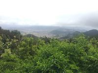 Anaga Gebirge - Taganana