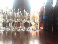 Weinverkostung - Santa Ursula