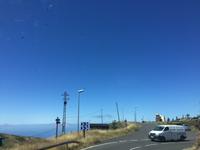 Die Vögel fliegen tief und völlig durcheinander - ein Zeichen für bevorstehende Hitze 