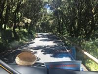 Es geht weiter nach Valle Gran Rey 