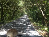 Es geht weiter nach Valle Gran Rey 