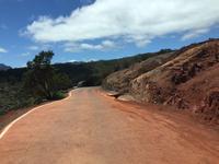 Rückweg zum Besucherzentrum