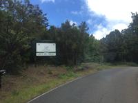 Nationalpark Garajonay La Gomera