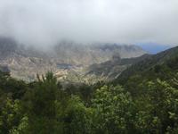 Nationalpark Garajonay La Gomera
