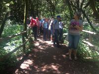 Nationalpark Garajonay La Gomera - Spaziergang 