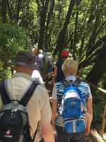 Nationalpark Garajonay La Gomera - Spaziergang 