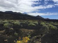 Lava-Landschaft im Süden La Palmas