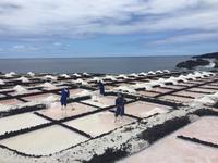 Salz-Salinen La Palma 