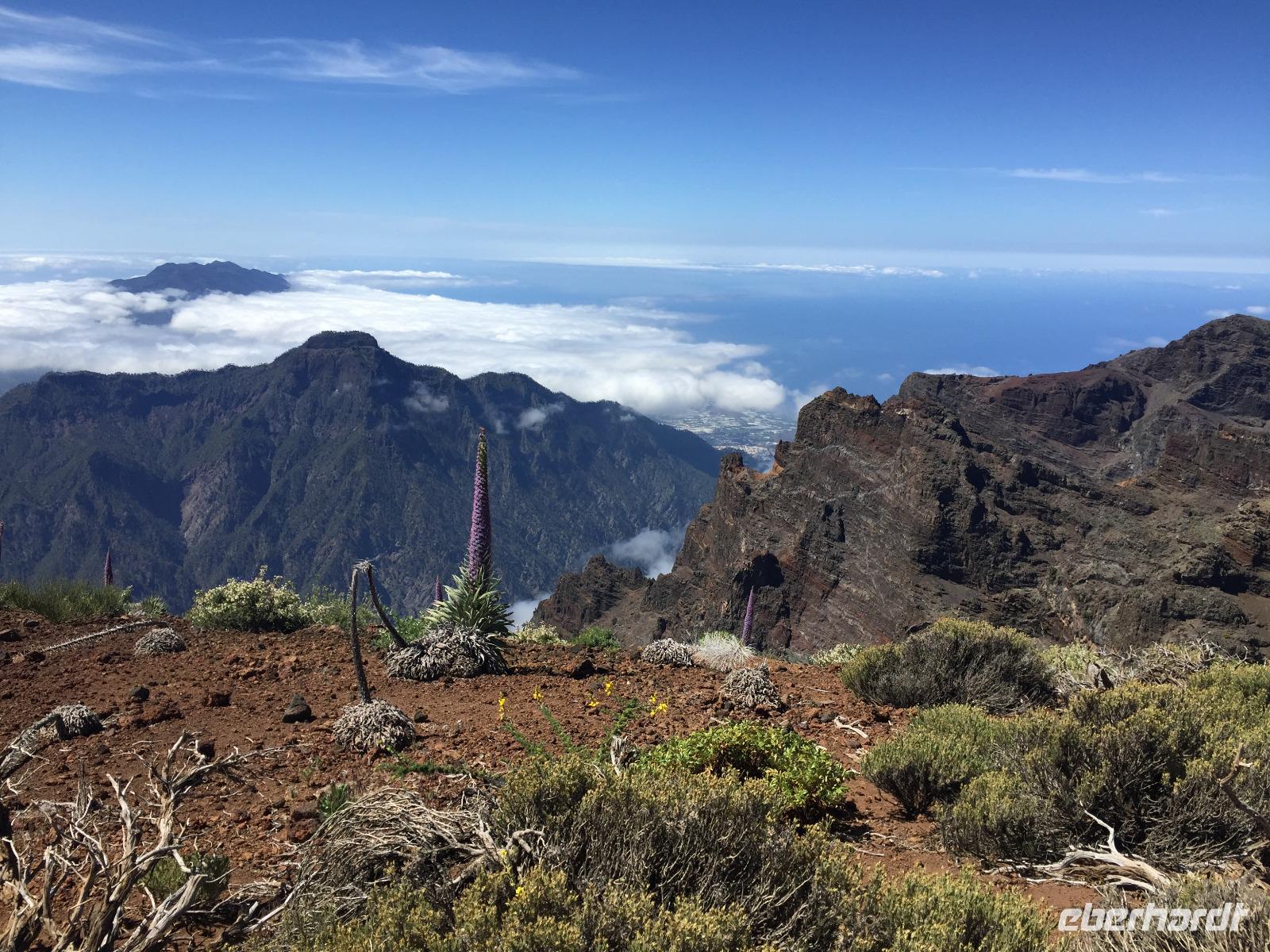 Nationalpark La Palma 