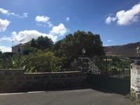 Bananenplantage Gran Canaria 