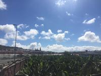 Finca Las Vegas - Bananenplantage 