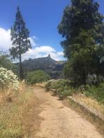 Ausblick Roque Nublo 