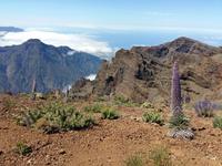 La Palma National Park 