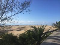 Maspalomas - die Dünen 