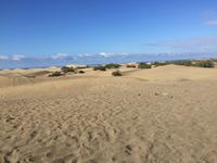 Die Dünen von Maspalomas