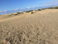 Die Dünen von Maspalomas
