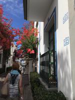 Puerto Mogán - das Venedig von Gran Canaria 