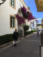 Puerto Mogán - das Venedig von Gran Canaria 