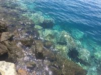 Hafen von Puerto Mogán 