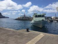 Hafen von Puerto Mogán - unser Boot kommt an 