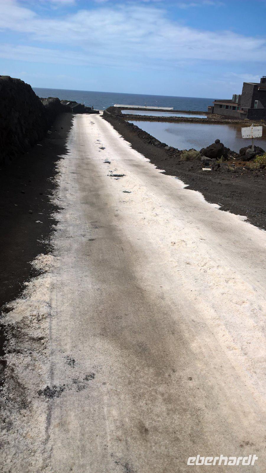 WP 20170426 12 10 11 Pro