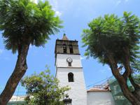 Icod de los Vinos (4)