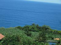 Puerto de la Cruz (13)