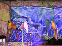 Playa Las Américas (7)