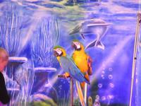 Playa Las Américas (8)