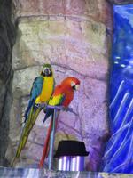 Playa Las Américas (9)