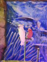 Playa Las Américas (10)