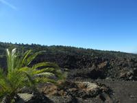 Santiago del Teide (1)
