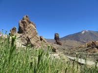 Teide (31)