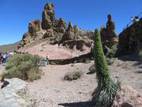 Teide (35)