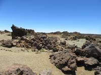 Teide (53)