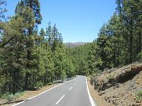 Teide (60)