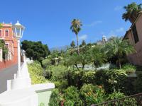 Orotava (27)
