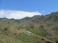 Roque Las Bodegas (1)