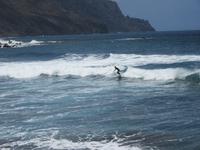 Roque Las Bodegas (9)