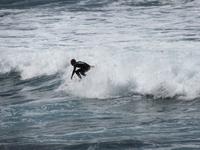 Roque Las Bodegas (10)