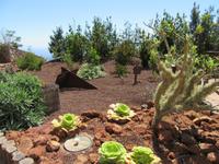 Mirador de Abrante (4)