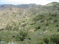 Degollada de Peraza (1)