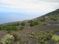 Vulkan San Antonio (2)